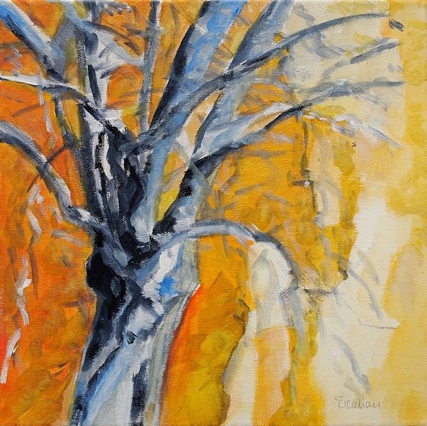 verwundener-Baum.jpg