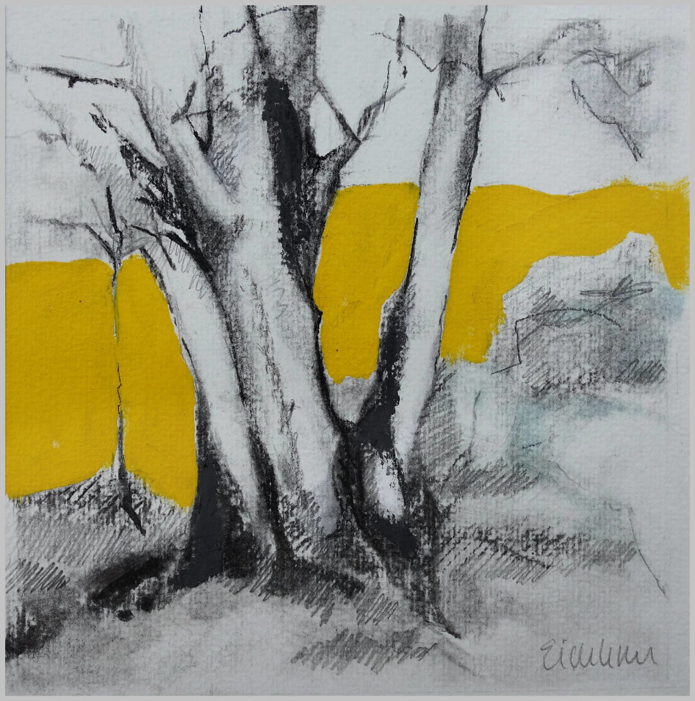 Buchen Urwald I 15x15