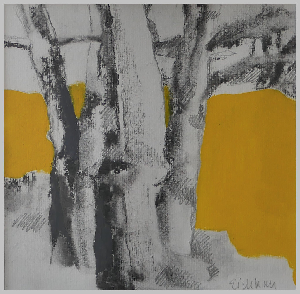 Buchen Urwald III 